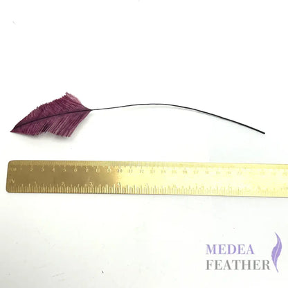 *Sales* 25cm Long Arrowhead Ostrich Feather (1 pack=5 pieces)