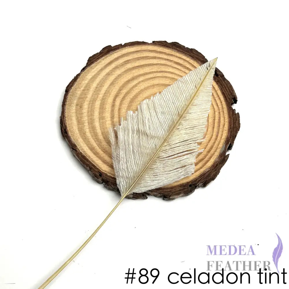*Sales* 25cm Long Arrowhead Ostrich Feather (1 pack=5 pieces) #89 celadon tint