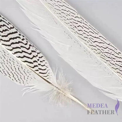 *Sales* 30-35cm Natural Silver Pheasant Tail Feather