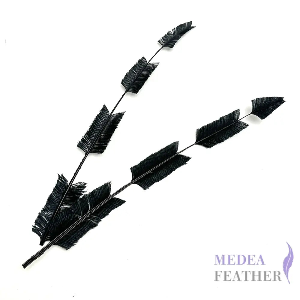 *sales* 30cm Black Four Arrow Cut Ostrich Feather - Pack of 2 Black