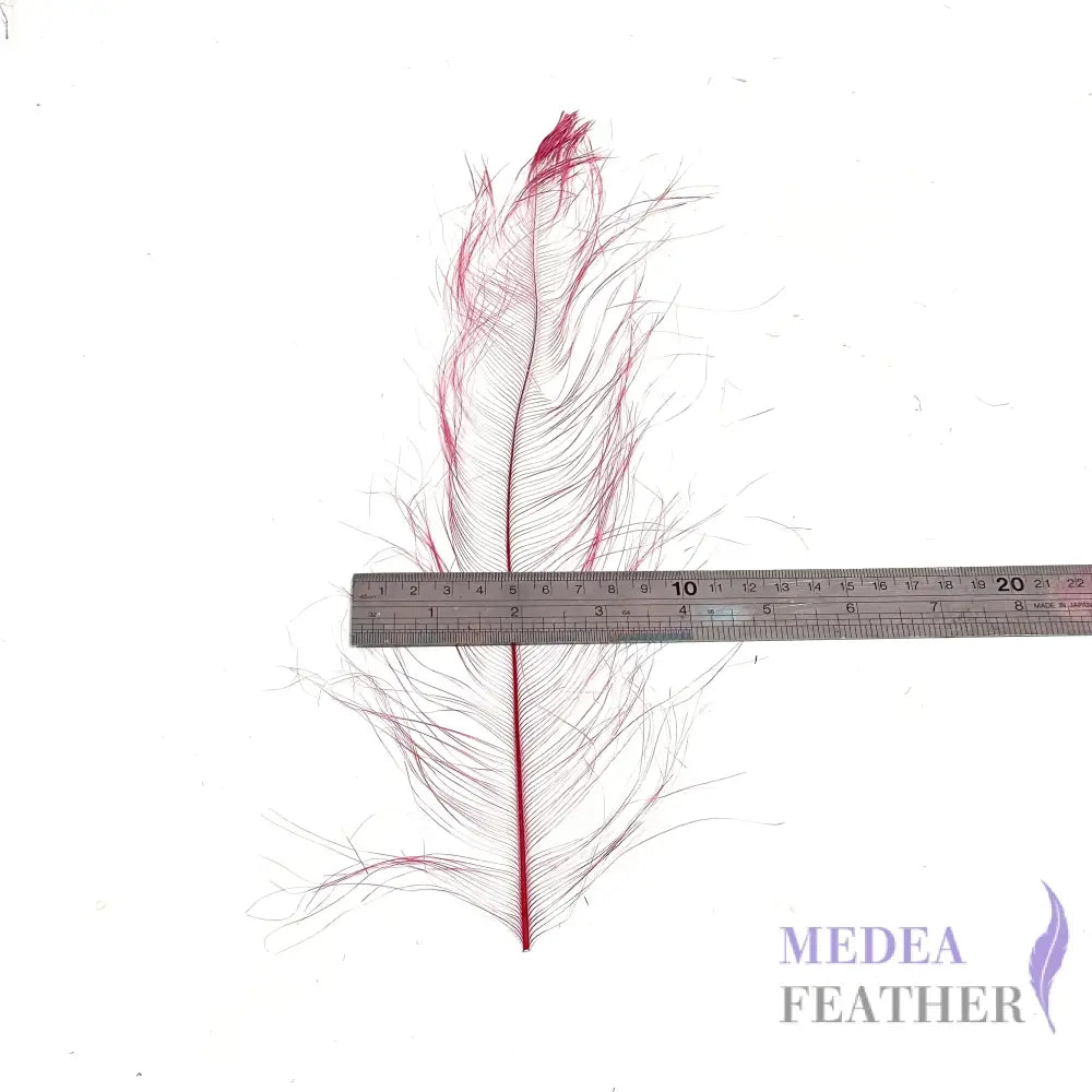 *sales* 30cm Burnt Ostrich Feather Plume