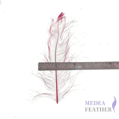 *sales* 30cm Burnt Ostrich Feather Plume