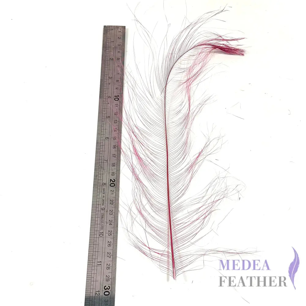 *sales* 30cm Burnt Ostrich Feather Plume
