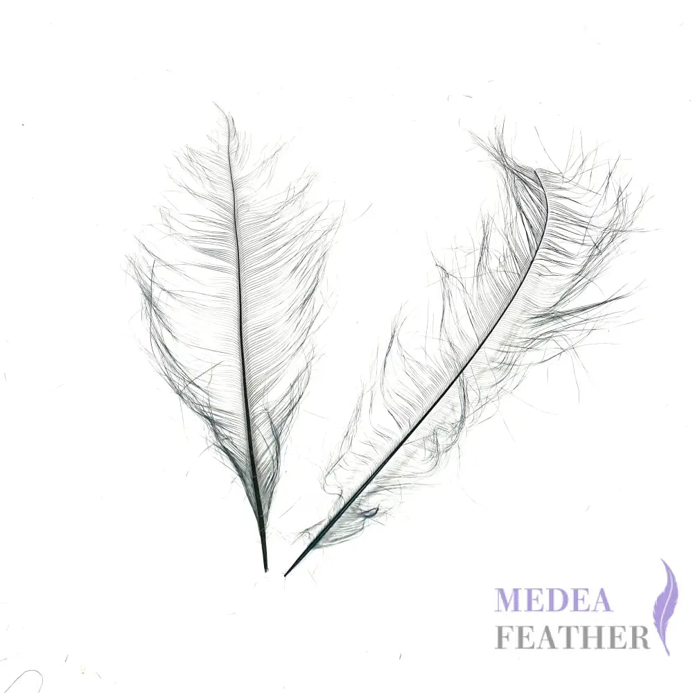 *sales* 30cm Burnt Ostrich Feather Plume Gray