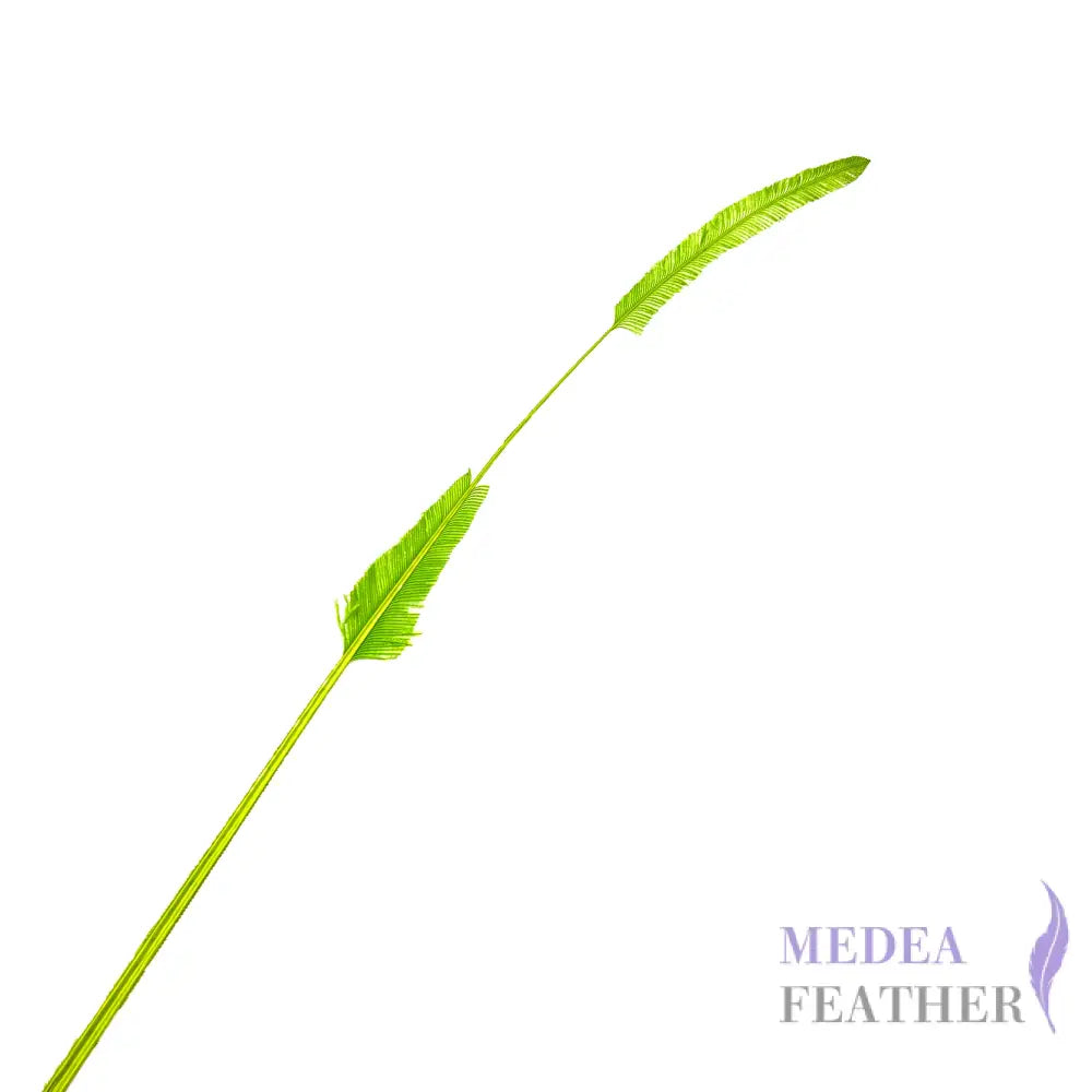 *sales* 50cm Stripped Ostrich Feather Plume Green
