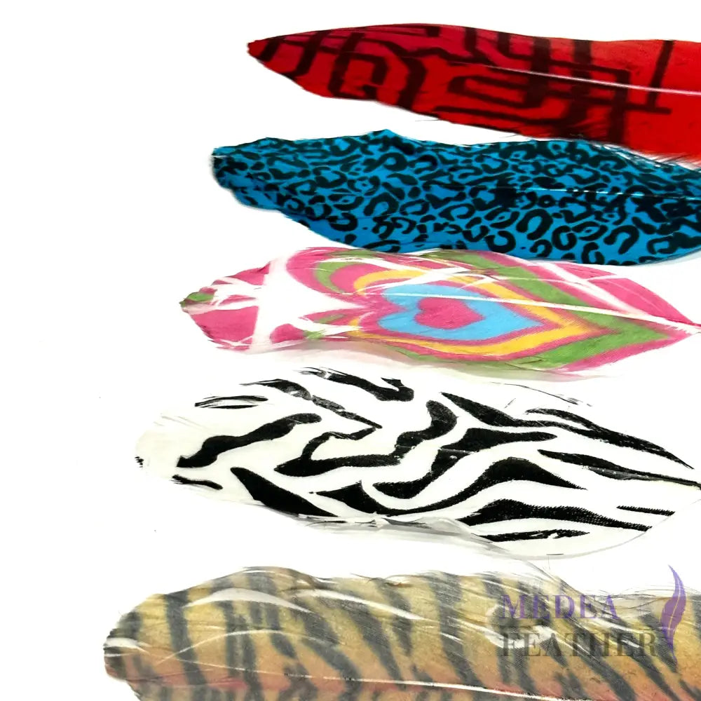 【Sales】Unique Printed Goose feather (1 pack=20 pieces)