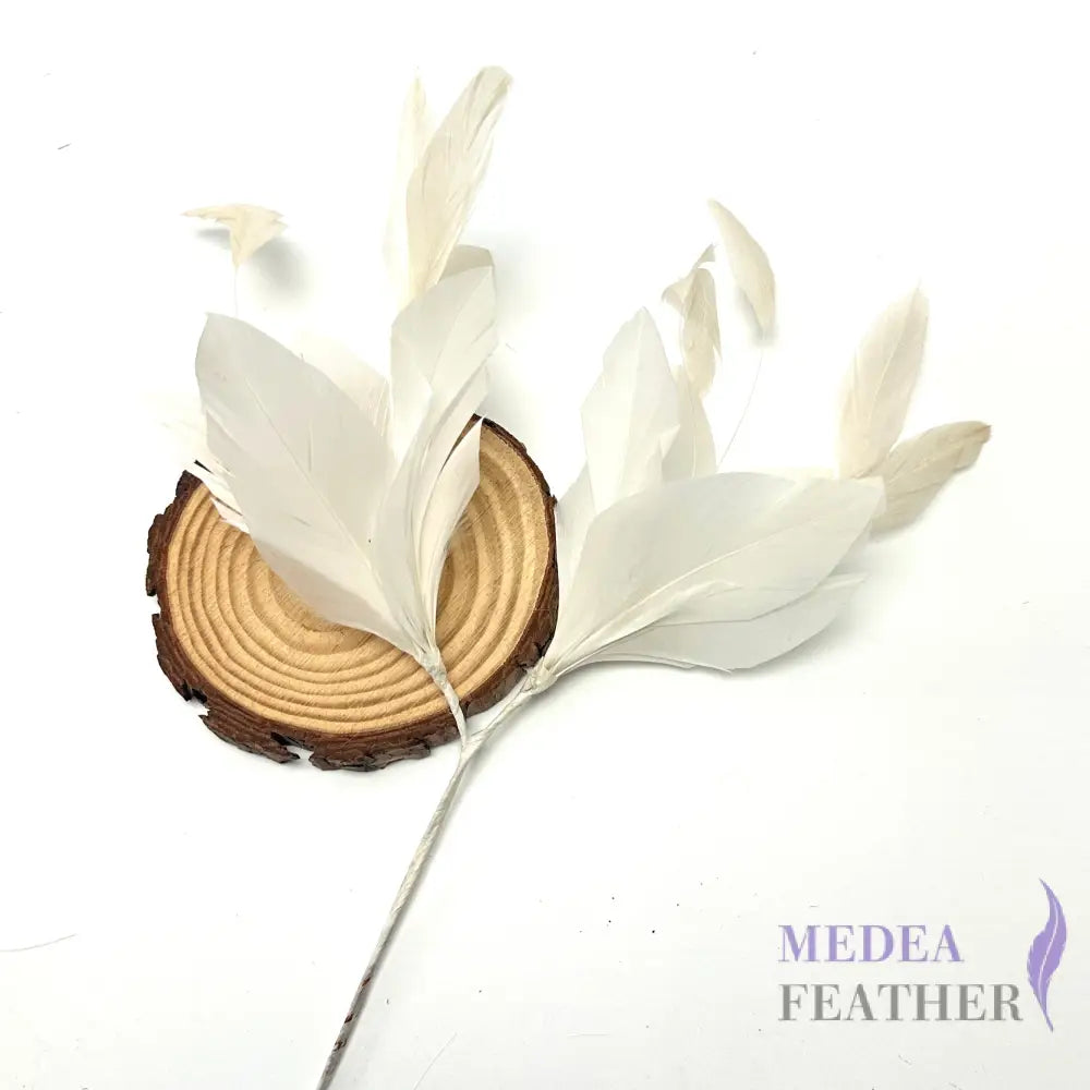 Simple Goose Feather & Coque Feather Branches Mount Custom - Please add text below