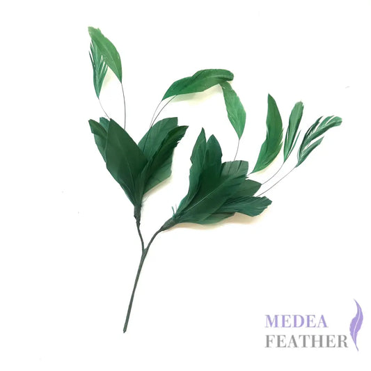 Simple Goose Feather & Coque Feather Branches Mount FM003 #96 dark green