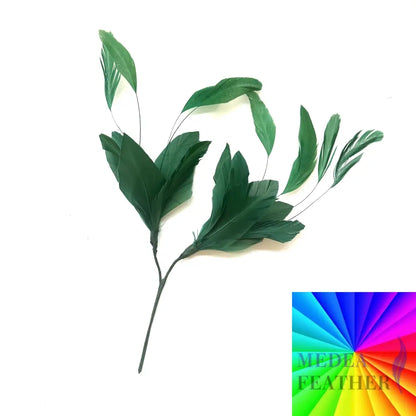 Simple Goose Feather & Coque Feather Branches Mount FM003 Custom - Please add text below