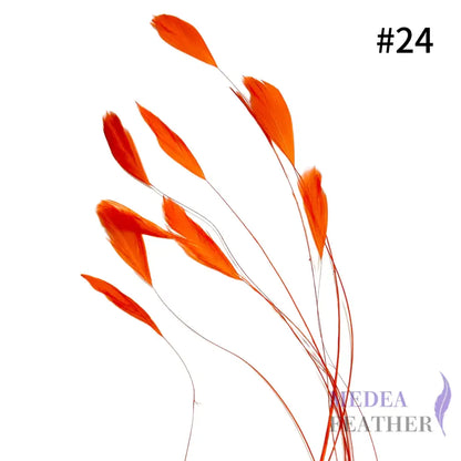 Small Round Tips Coque Feather-Pack of 10 SFROOSTER08 - #24 carrot