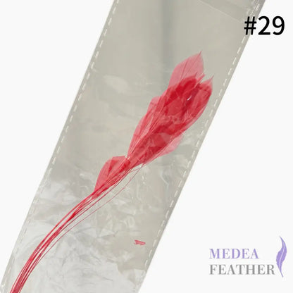 Small Round Tips Coque Feather-Pack of 10 SFROOSTER08 - #29 rouge red