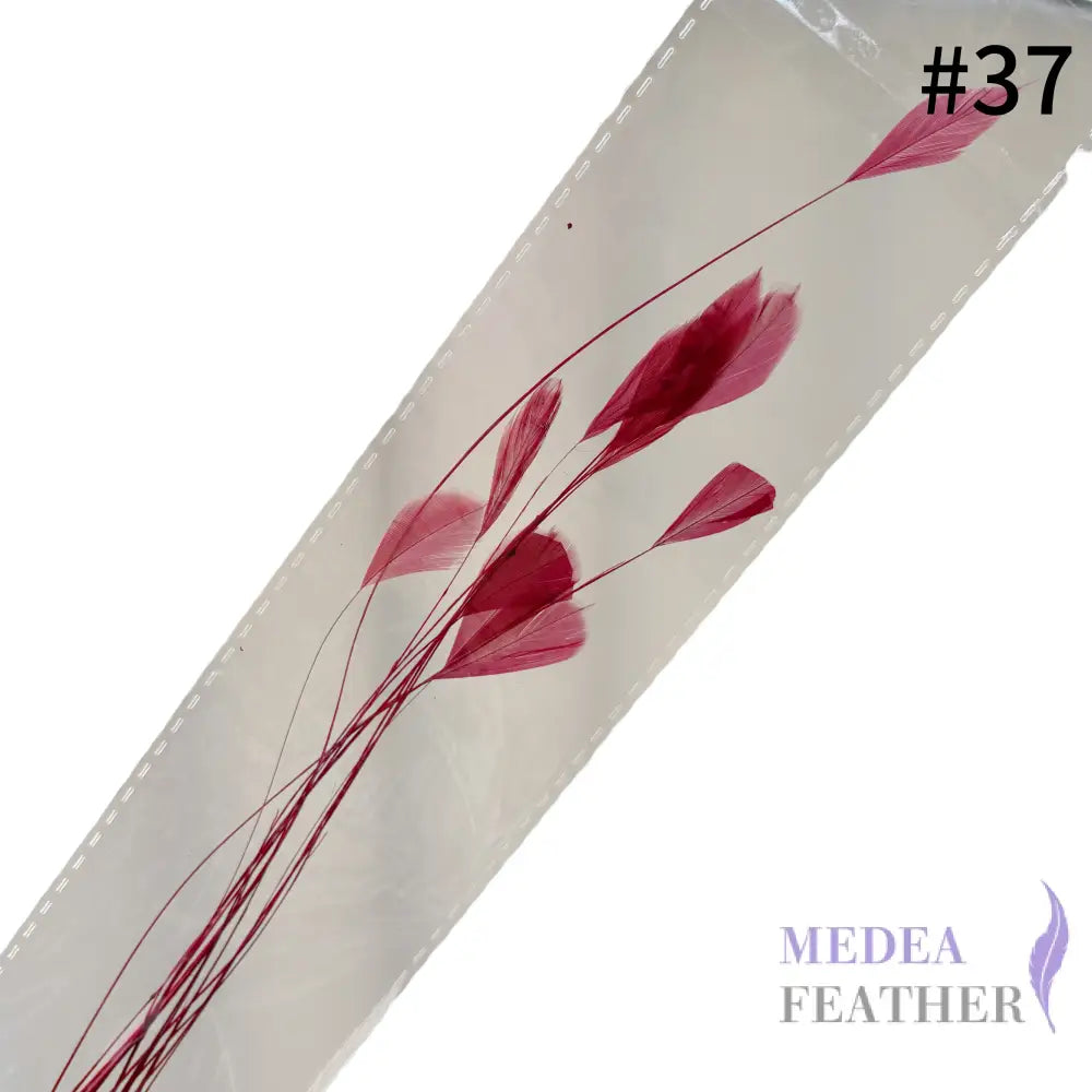 Small Round Tips Coque Feather-Pack of 10 SFROOSTER08 - #37 burgundy