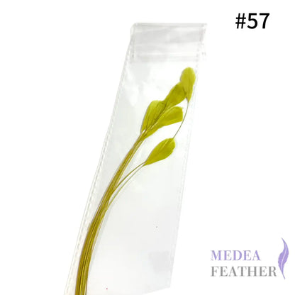 Small Round Tips Coque Feather-Pack of 10 SFROOSTER08 - #57 cress green