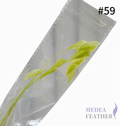 Small Round Tips Coque Feather-Pack of 10 SFROOSTER08 - #59 wild green
