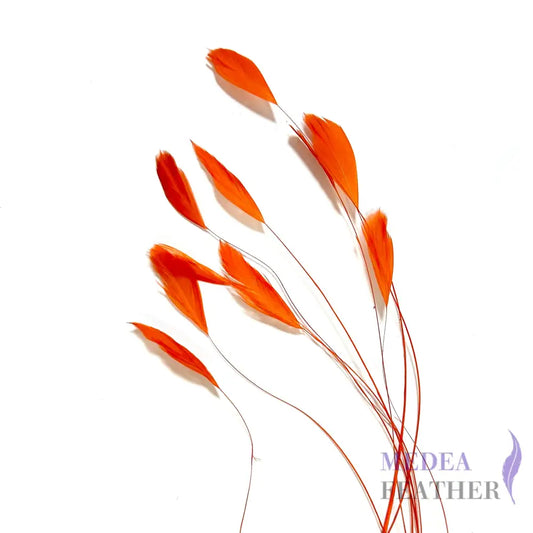 Small Round Tips Coque Feather-Pack of 10 SFROOSTER08