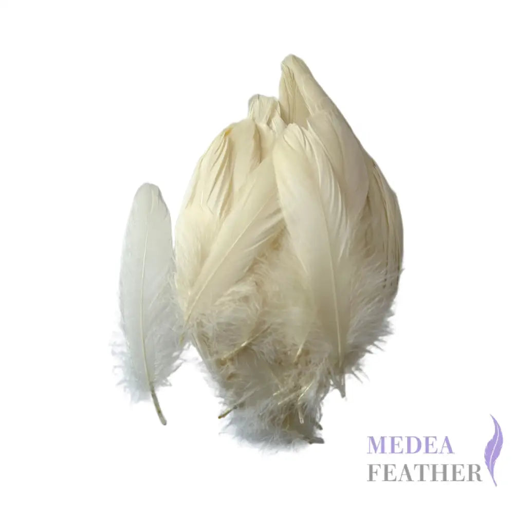 Soft Goose Feather-Pack of 50 SFGOOSE01 - #04 cream