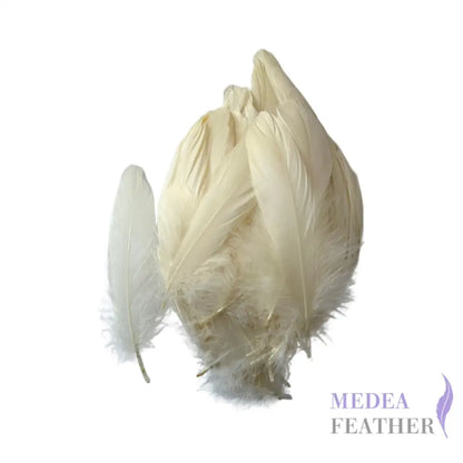 Soft Goose Feather-Pack of 50 SFGOOSE01 - #04 cream