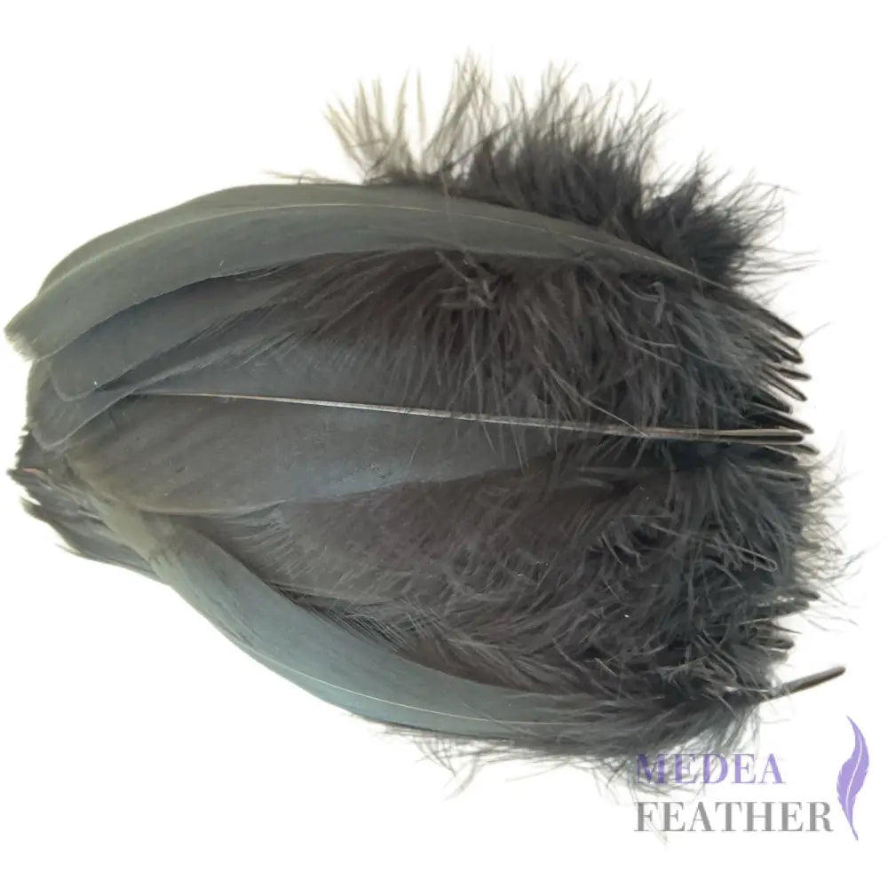 Soft Goose Feather-Pack of 50 SFGOOSE01 - #12 charcoal gray
