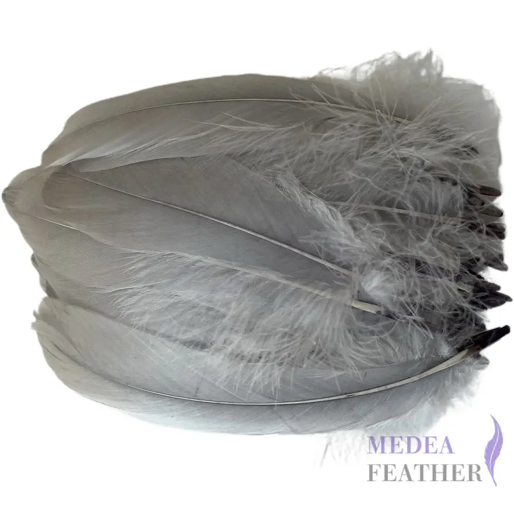 Soft Goose Feather-Pack of 50 SFGOOSE01 - #13 silver
