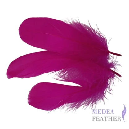 Soft Goose Feather-Pack of 50 SFGOOSE01 - #20 Barbie pink