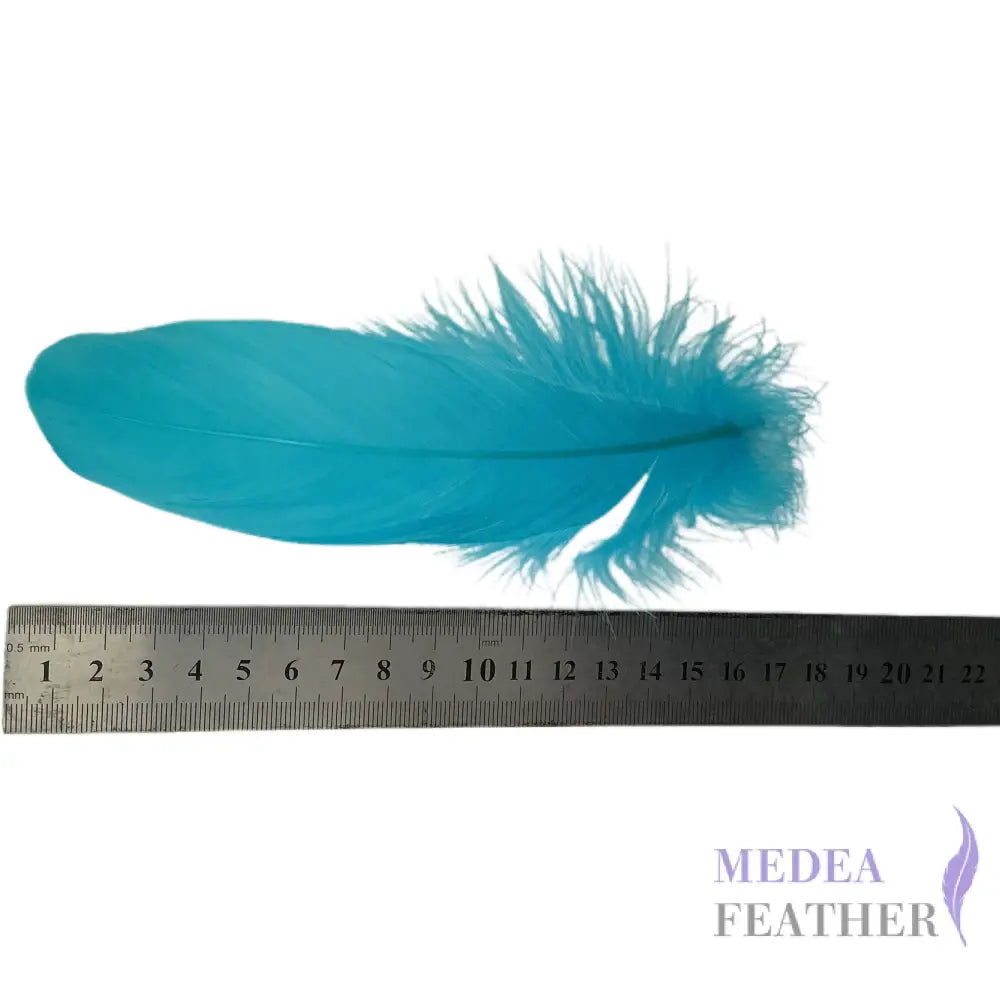 Soft Goose Feather-Pack of 50 SFGOOSE01