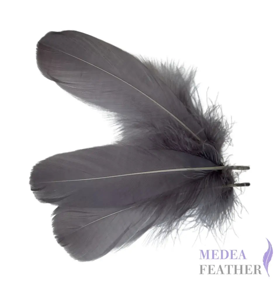 Soft Goose Feather-Pack of 50 SFGOOSE01