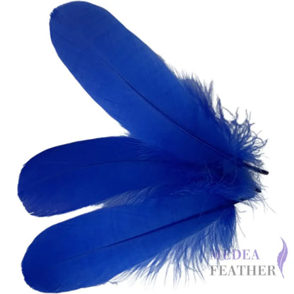 Soft Goose Feather-Pack of 50 SFGOOSE01 - #67 royal blue