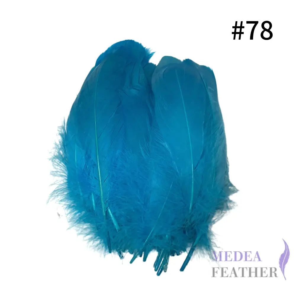 Soft Nagoire Goose Feather-Pack of 50 SFGOOSE01 - #78 turquoise
