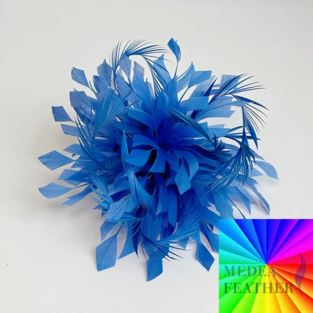 Space Cut Goose Biot Design Feather Mount Custom - Please add text below