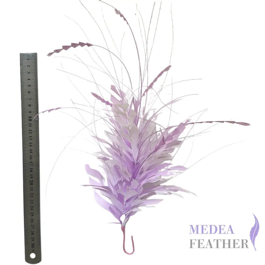Space cut Goose & Coque Feather Mount FM260716 - Custom-please add text below