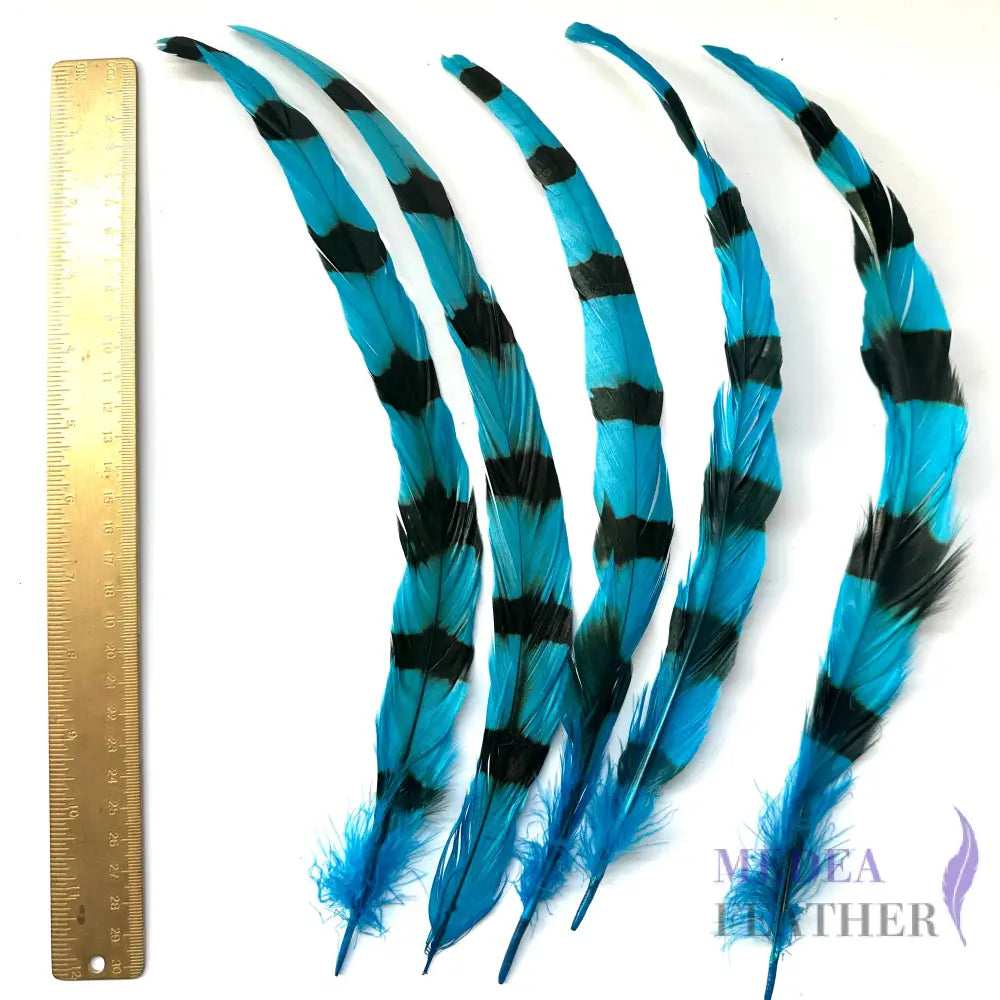 Special Two Tone Dyed Coque Feather-Pack of 10
