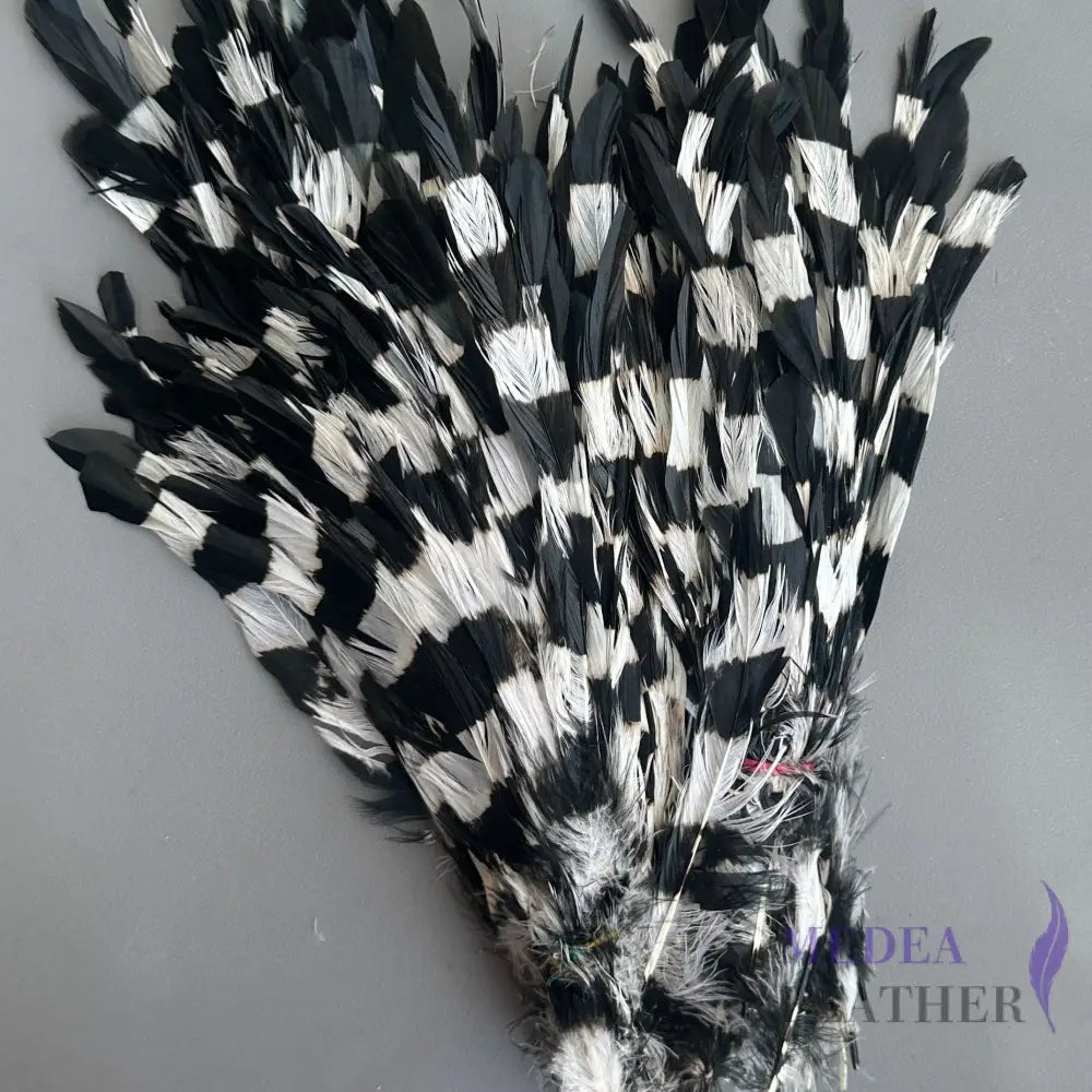 Special Two Tone Dyed Coque Feather -Pack of 10 SFROOSTER10 - Black & White