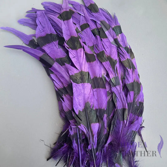 Special Two Tone Dyed Coque Feather -Pack of 10 SFROOSTER10 - Purple & Black
