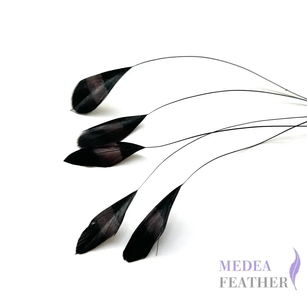 Special Two Tone Dyed Teardrop Coque Feather Black and Deep wine