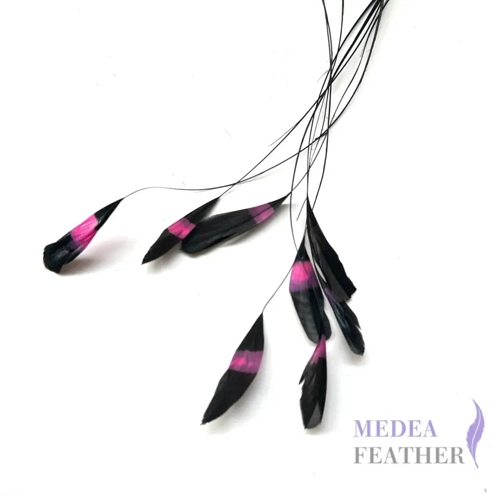 Special Two Tone Dyed Teardrop Coque Feather Black and Pink