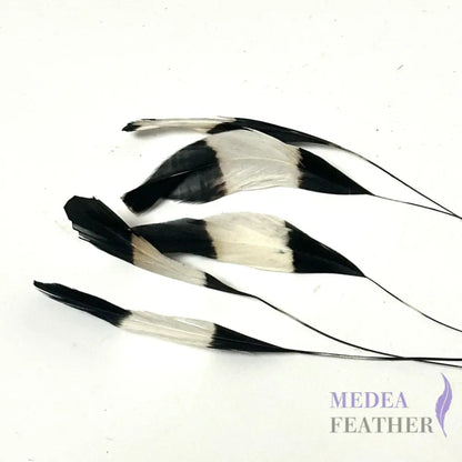 Special Two Tone Dyed Teardrop Coque Feather Black and White