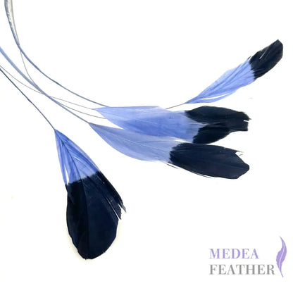 Special Two Tone Dyed Teardrop Coque Feather Cornflower