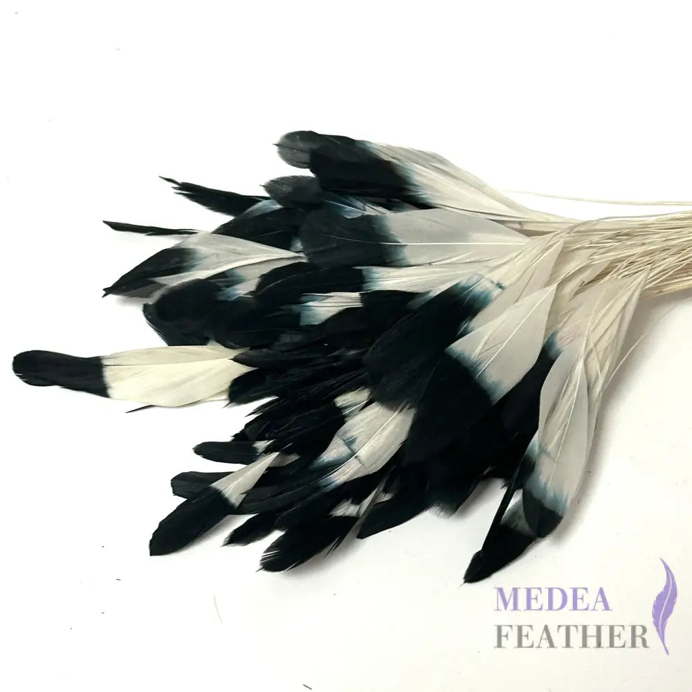 Special Two Tone Dyed Teardrop Coque Feather Gradient Black and White