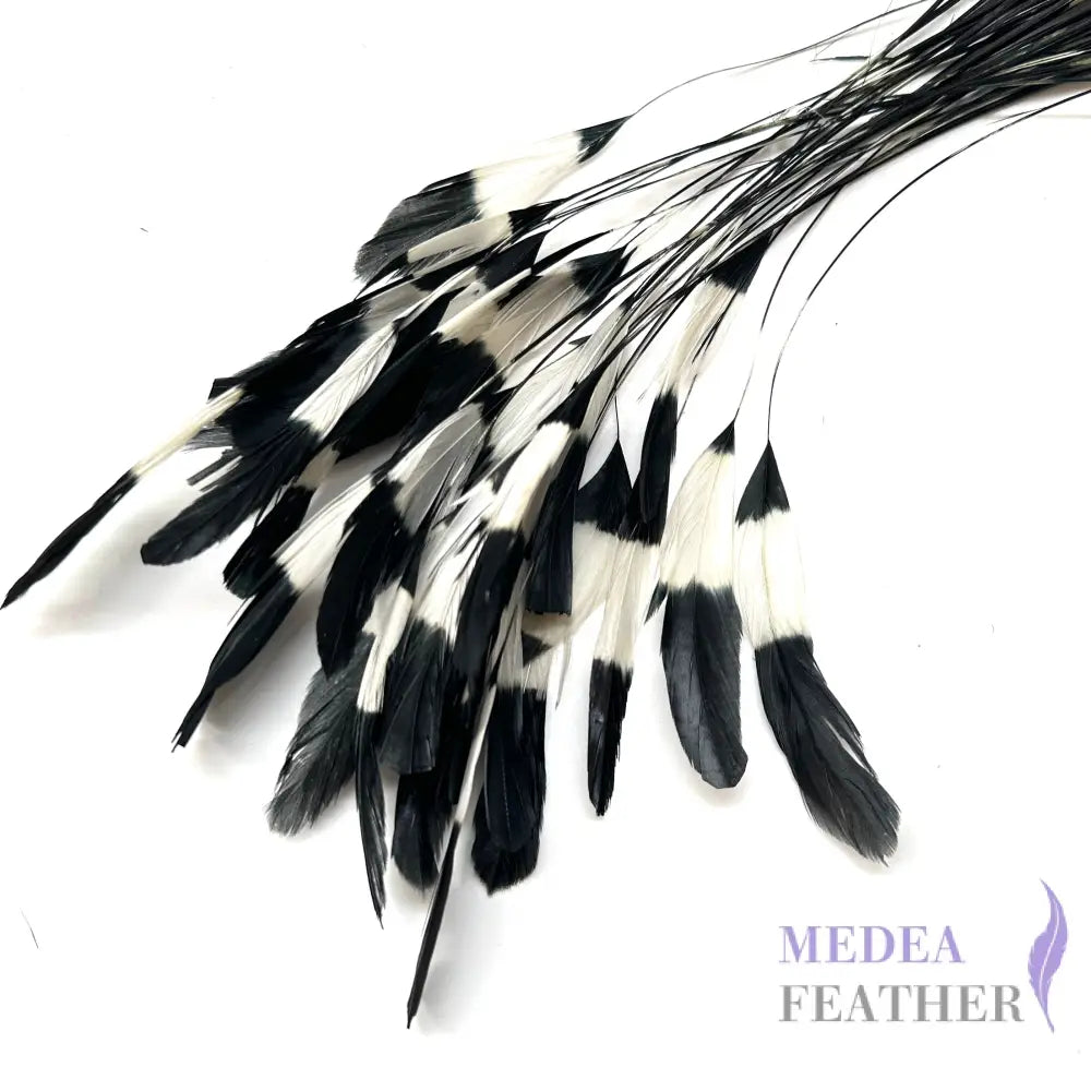 Special Two Tone Dyed Teardrop Coque Feather