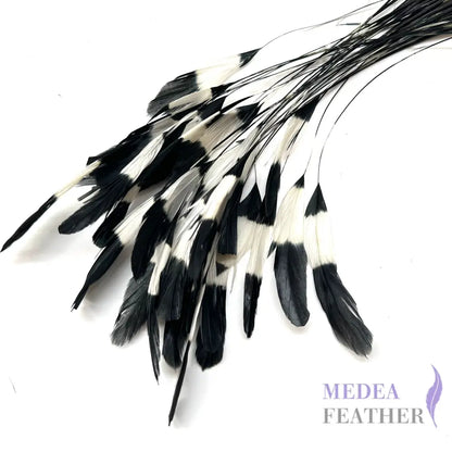Special Two Tone Dyed Teardrop Coque Feather