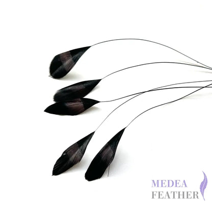 Special Two Tone Dyed Teardrop Coque Feather Black and Deep wine
