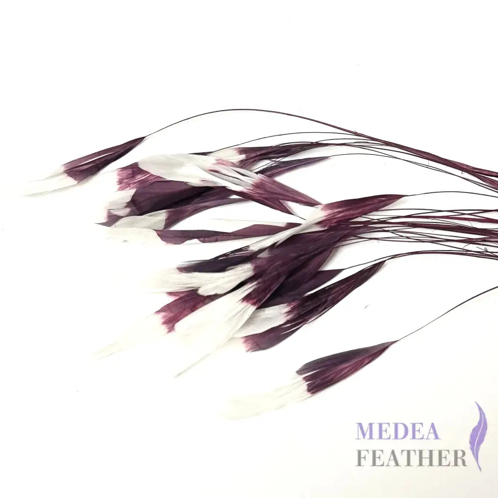 Special Two Tone Dyed Teardrop Coque Feather Plum
