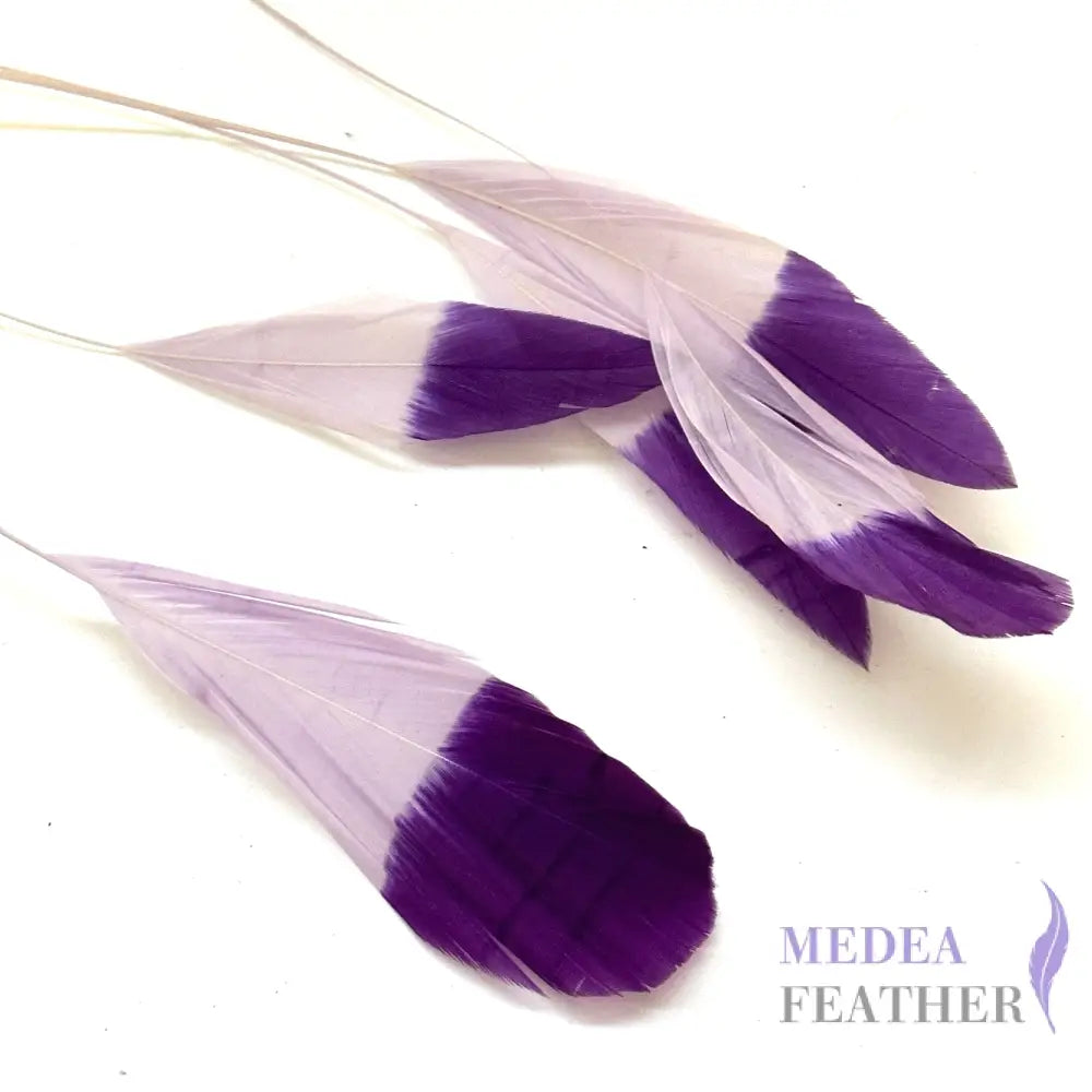Special Two Tone Dyed Teardrop Coque Feather Purple 2