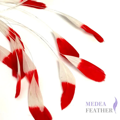 Special Two Tone Dyed Teardrop Coque Feather Red Tips and White