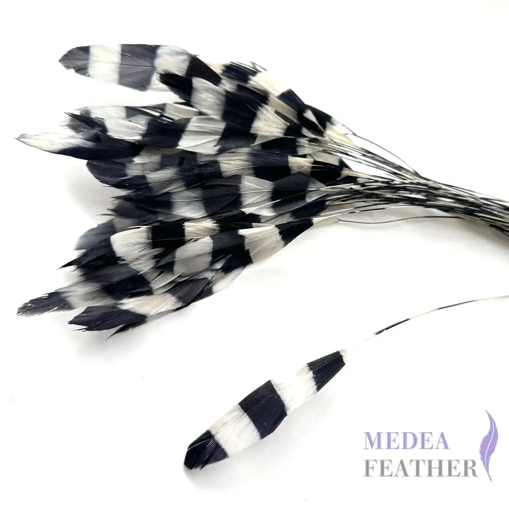 Special Two Tone Dyed Teardrop Coque Feather Zebra