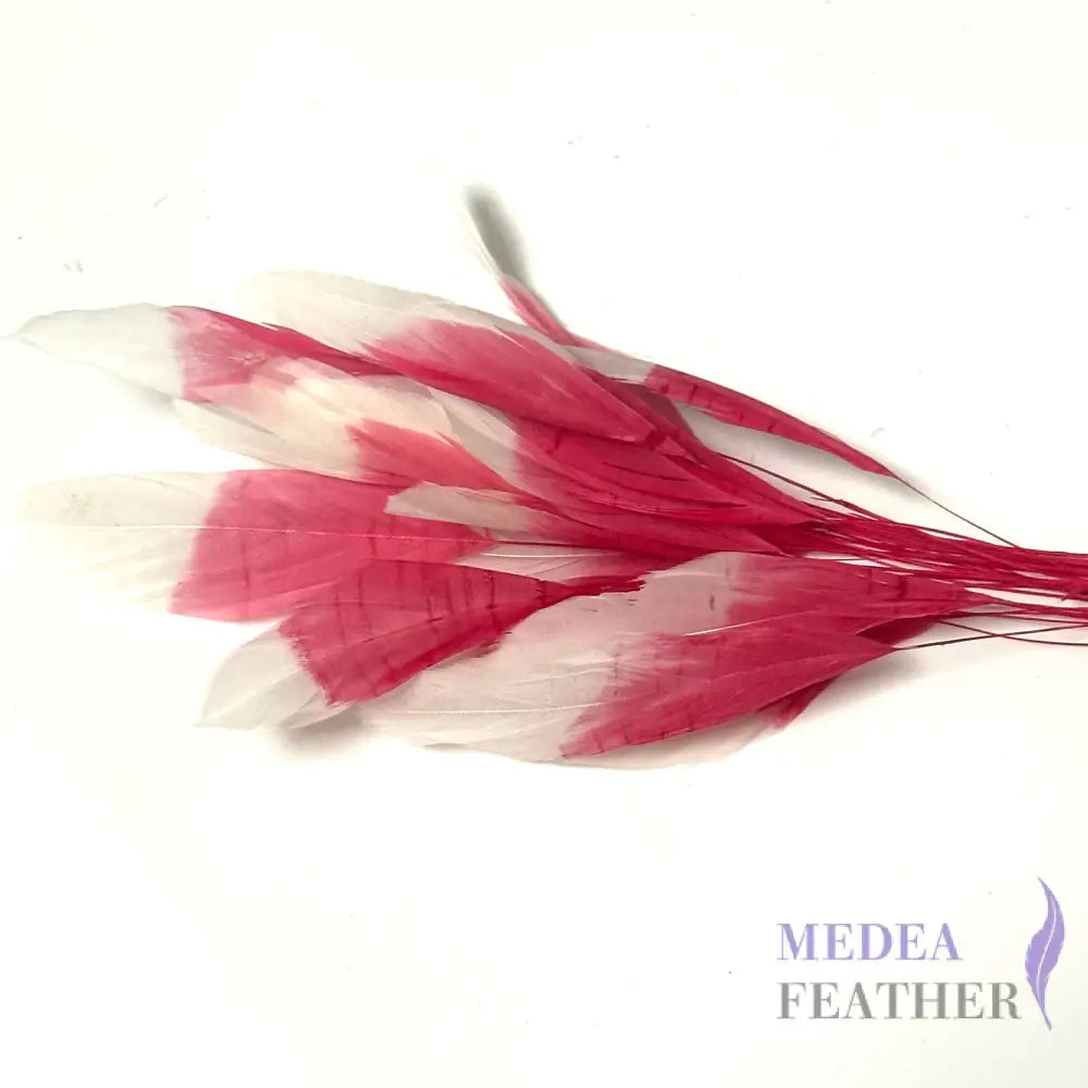 Special Two Tone Dyed Teardrop Coque Feather Pink