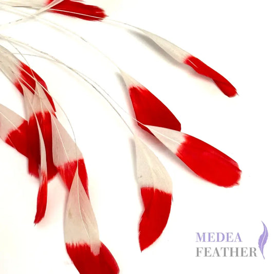 Special Two Tone Dyed Teardrop Coque Feather Red Tips and White