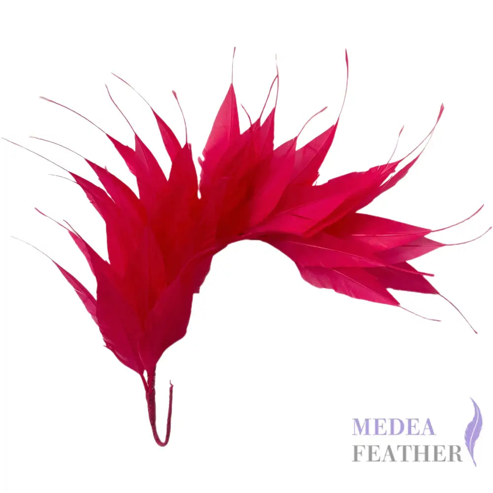 Spiky Arrow Goose Feather Wired Hat Mount DS25050I #101 fandango pink