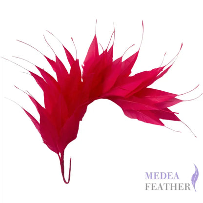 Spiky Arrow Goose Feather Wired Hat Mount DS25050I #101 fandango pink