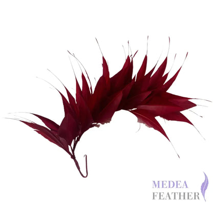 Spiky Arrow Goose Feather Wired Hat Mount DS25050I #37 burgendy